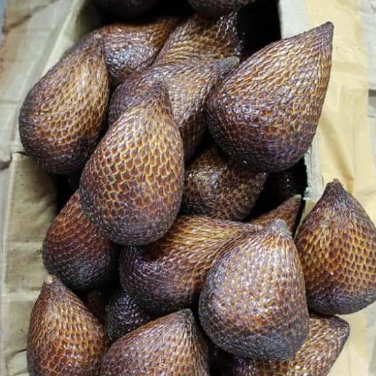 Salak Pondo 1 Kg