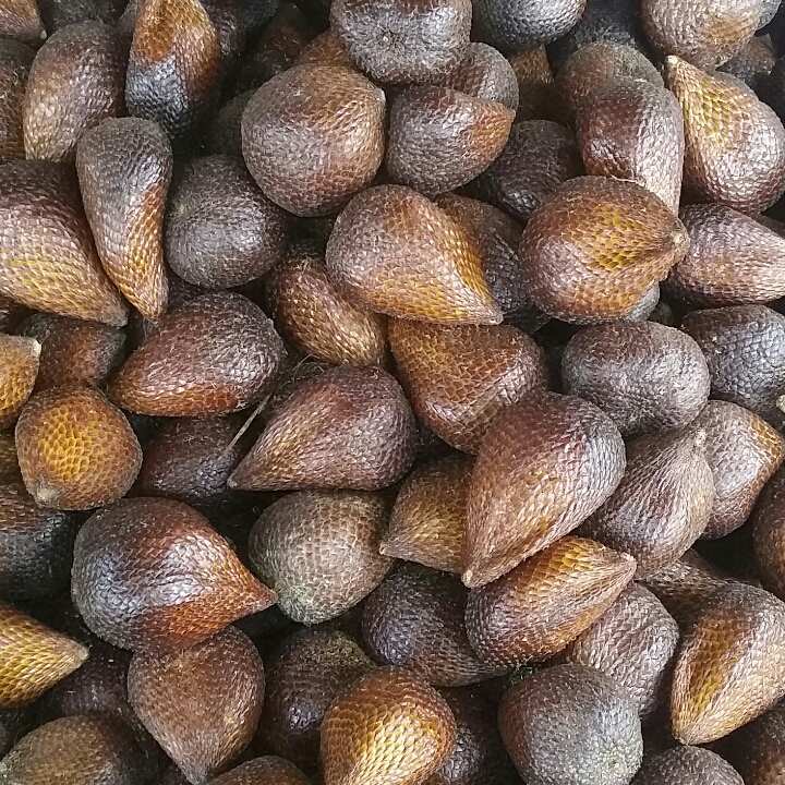 Salak Pondoh