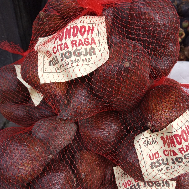 Salak Pondoh