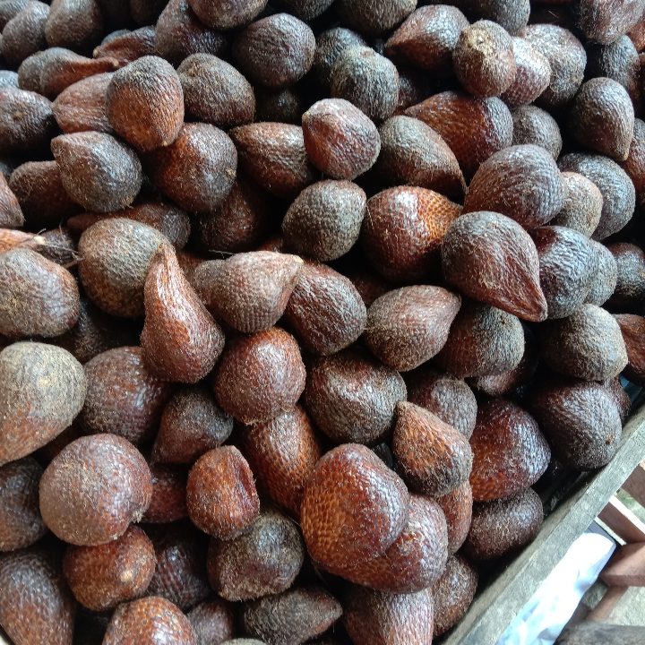 Salak Pondoh