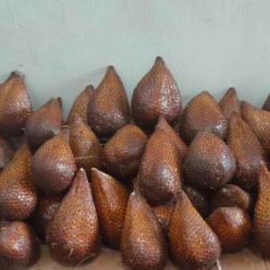Salak Pondoh
