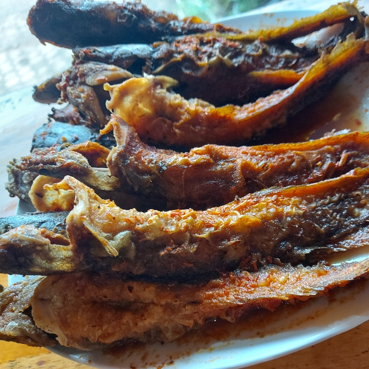 Sambel Lele Tanpa Nasi