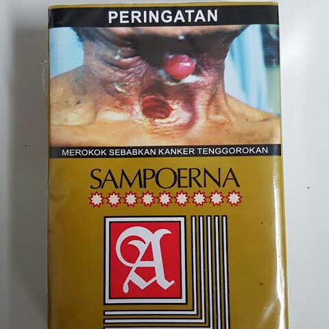 Sampoerna Hijau 12