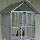 Sangakar Burung Besi