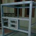 Sangkar Burung 2