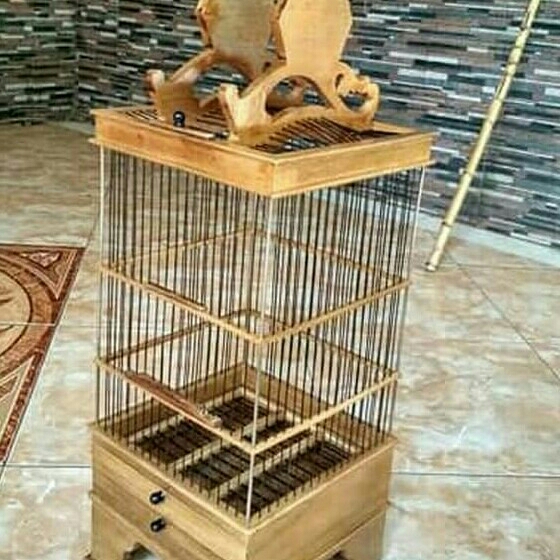 Sangkar Burung 2