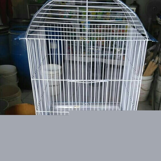 Sangkar Burung 3