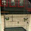 Sangkar Burung 3