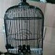 Sangkar Burung Besi 3