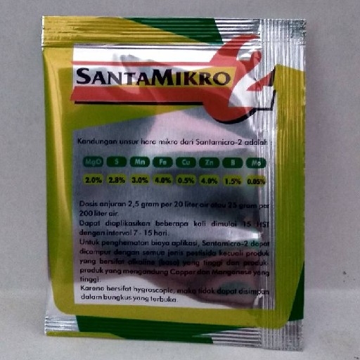 Santa Micro 2