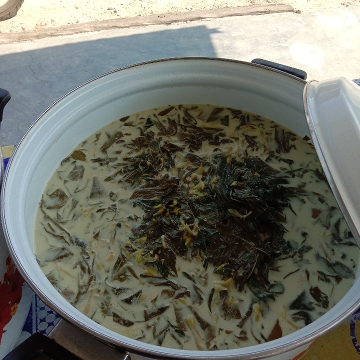 Santan Daun Ubi