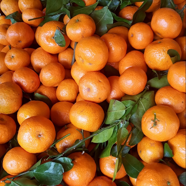 Santang Madu Orange