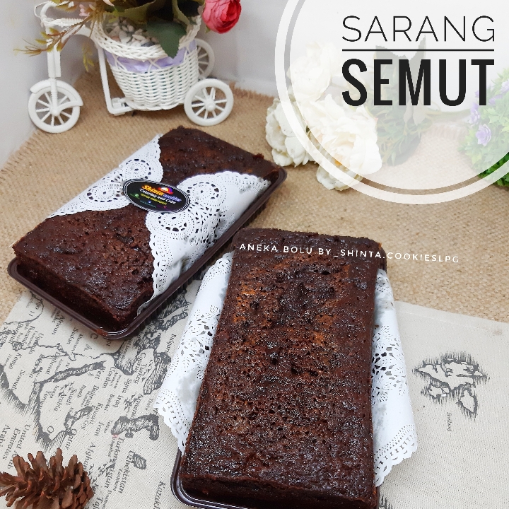 Sarang Semut