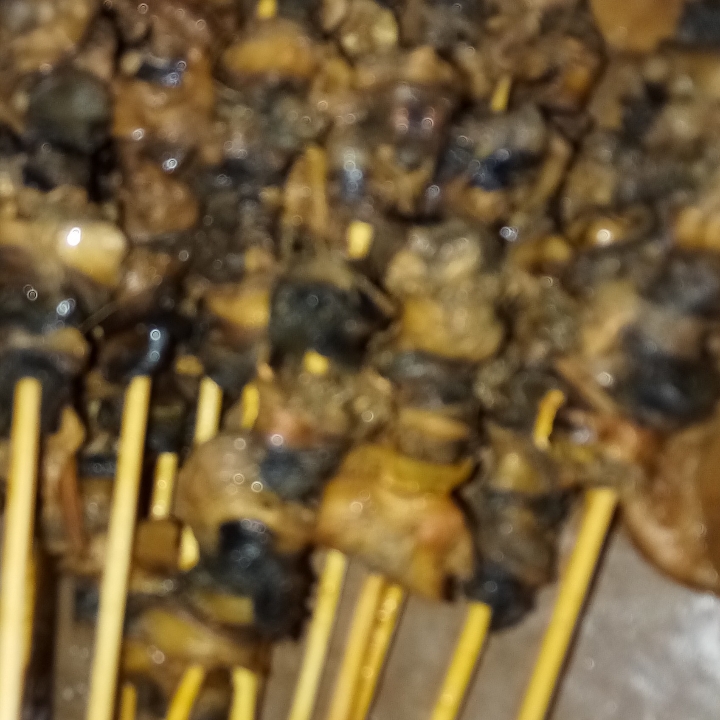 Sate Keong