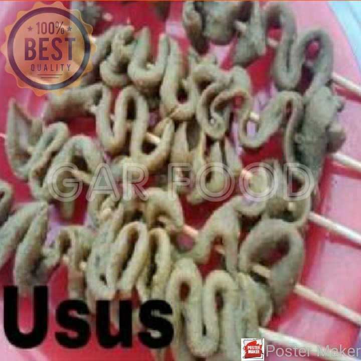 Sate Usus