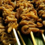 Sate Usus