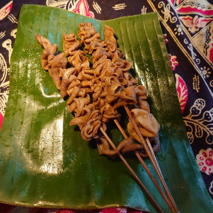 Sate Usus