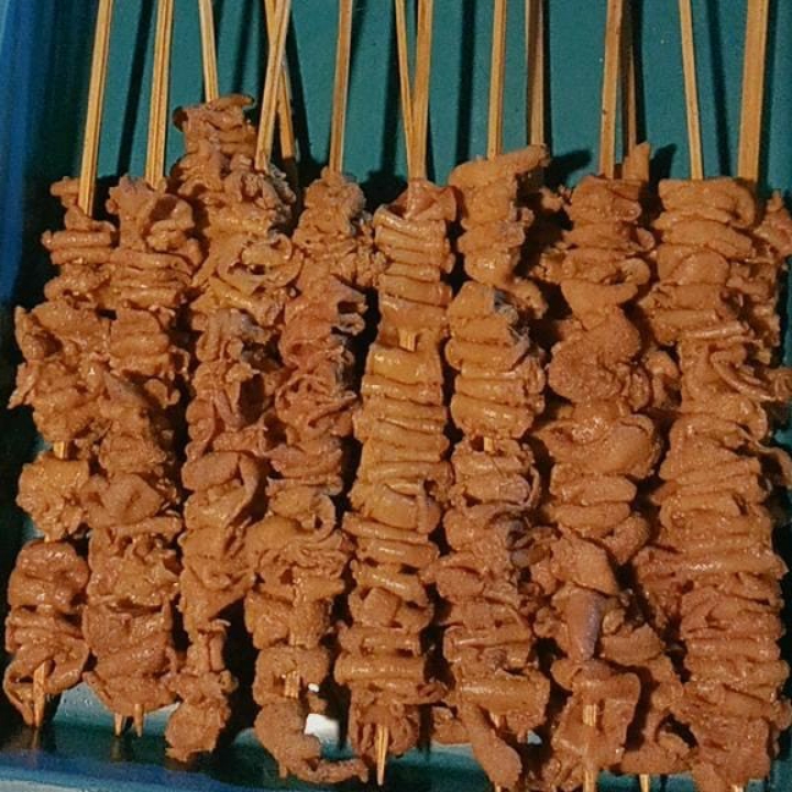 Sate Usus
