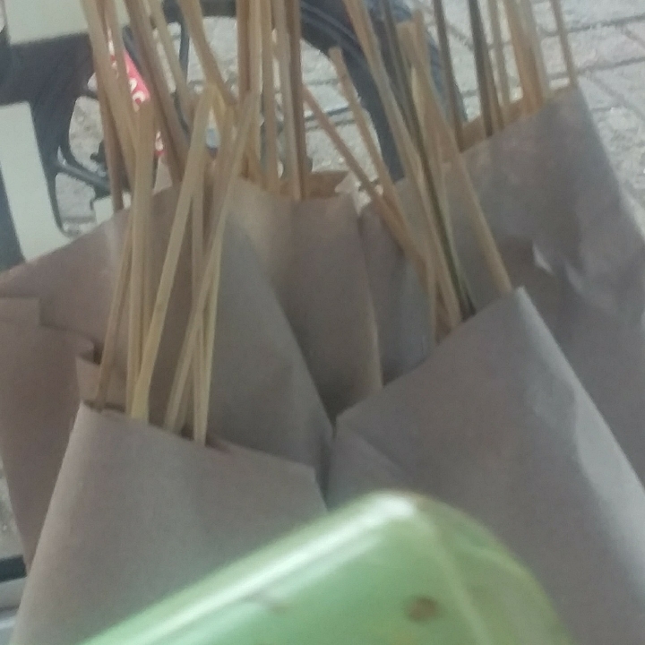 Sate Usus 2