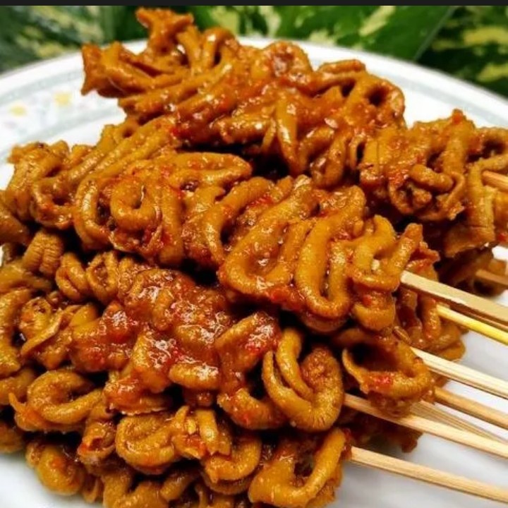 Sate usus