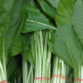 Sawi Hijau 1 Kg