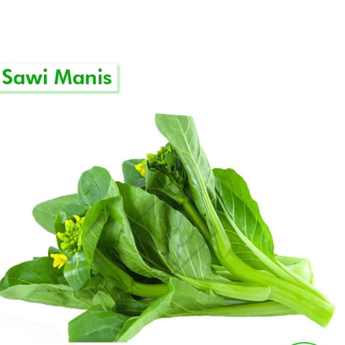 Sawi Manis Bebas Galau