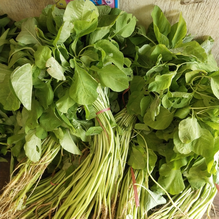 Sayur Bayam
