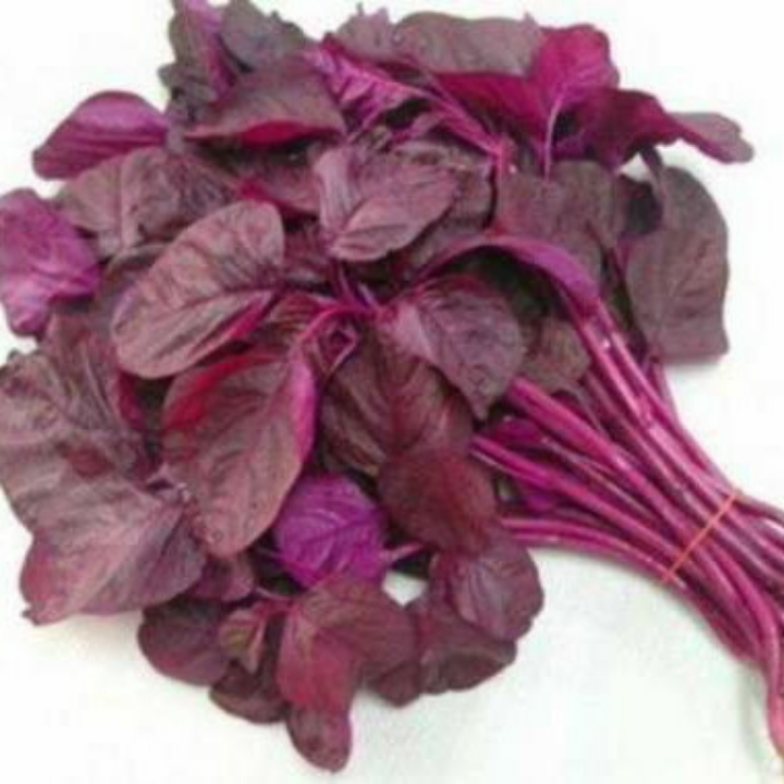 Sayur Bayam Merah