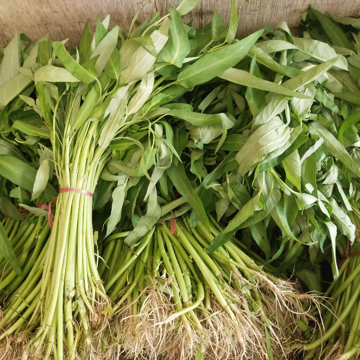 Sayur Kangkung 