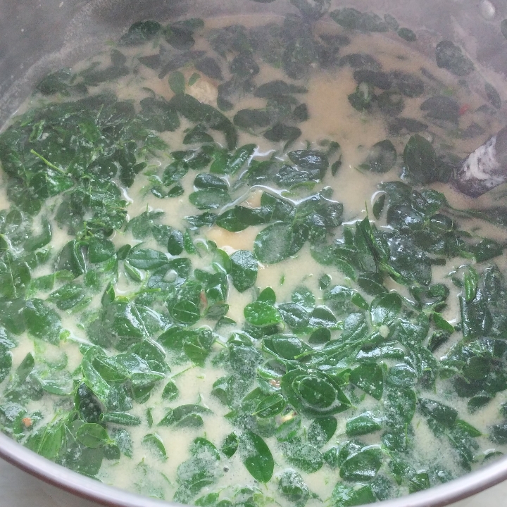 Sayur Kelor Santan