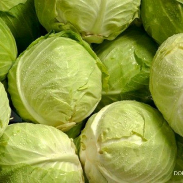 Sayur Kol