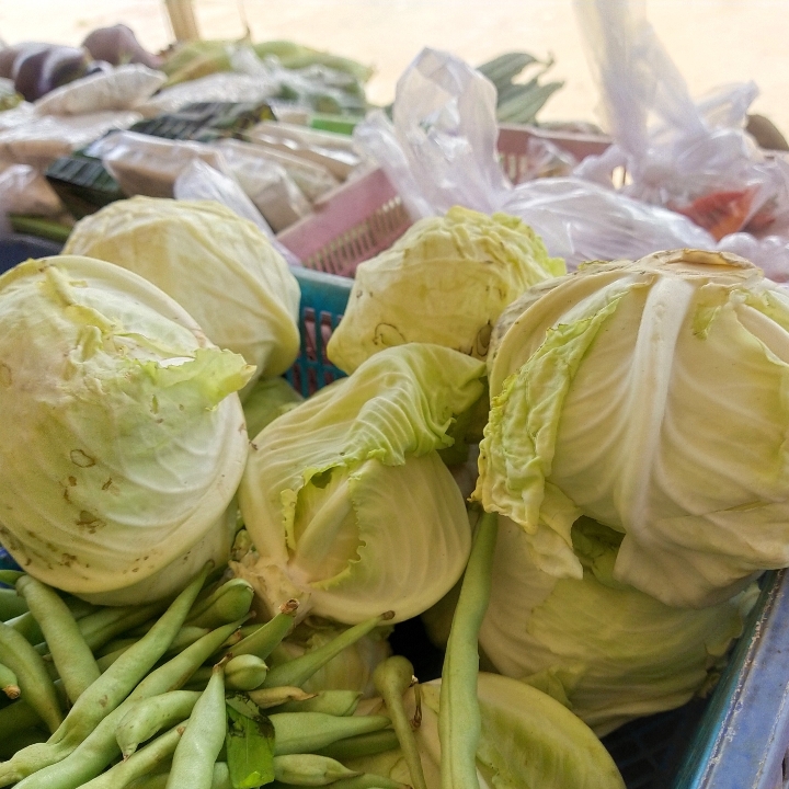Sayur Kol