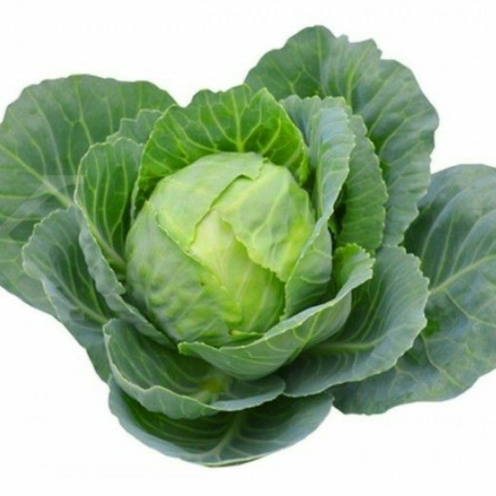 Sayur Kubis