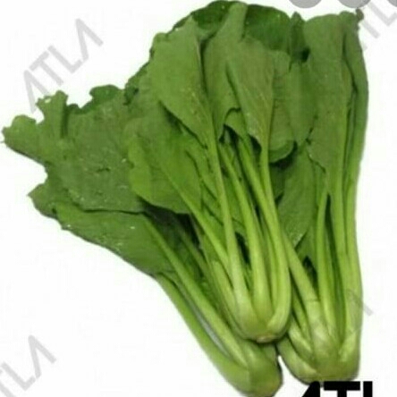 Sayur Sawi