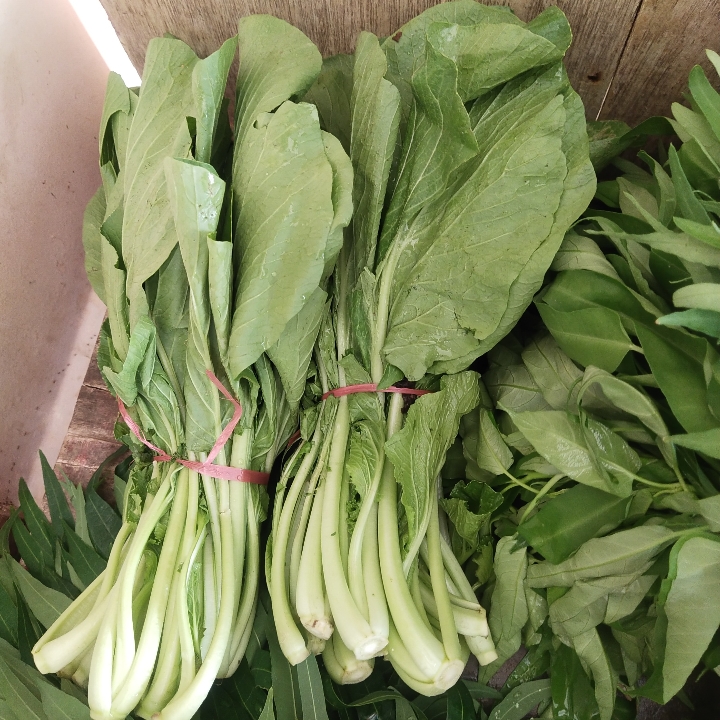 Sayur Sawi