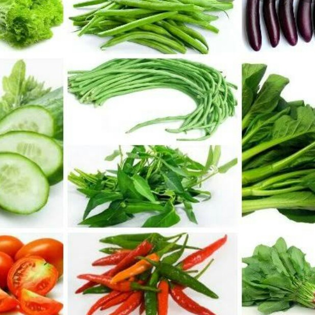 Sayur Sayuran