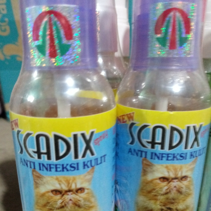 Scadik