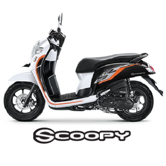 Scoopy 3