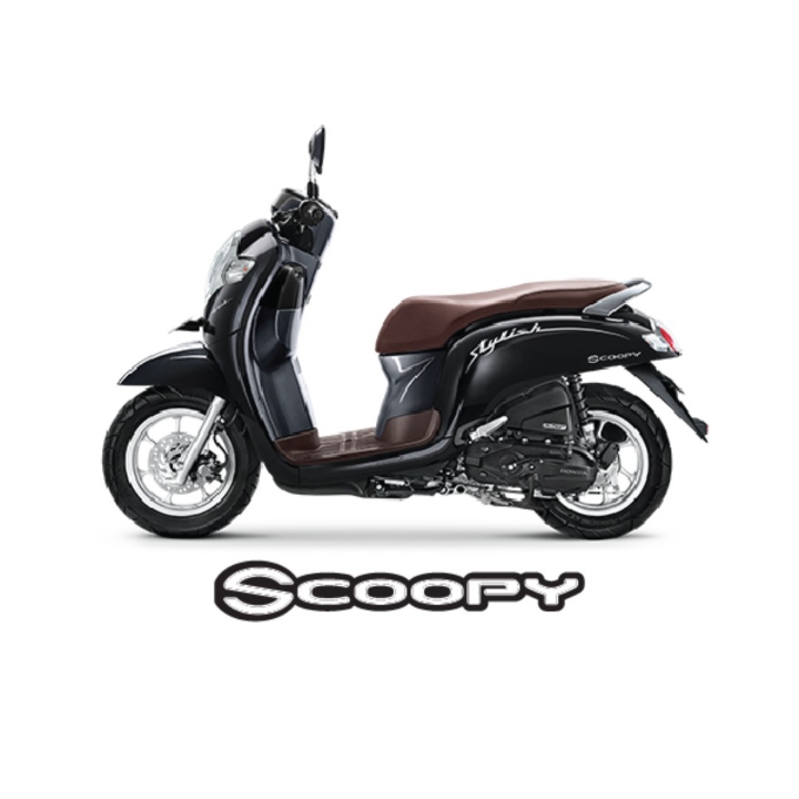 Scoopy Stylish