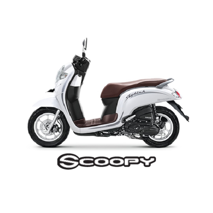 Scoopy Stylish