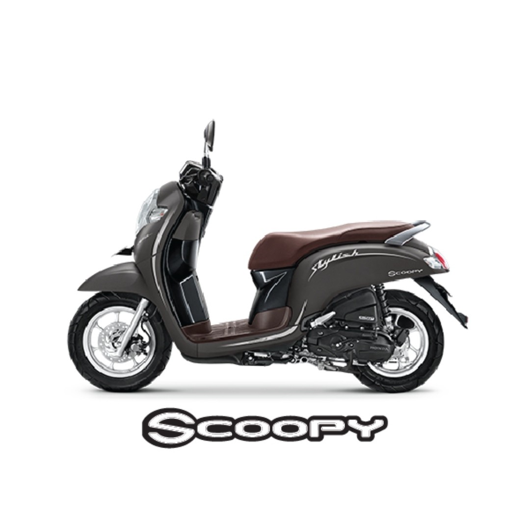 Scoopy Stylish