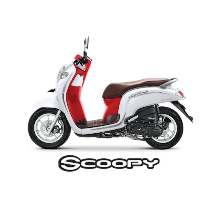 Scoopy Stylish