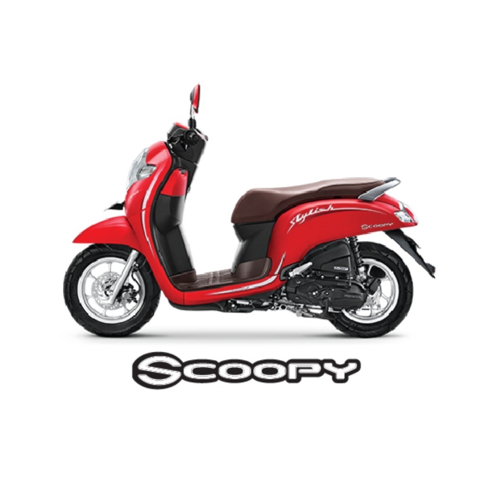 Scoopy Stylish