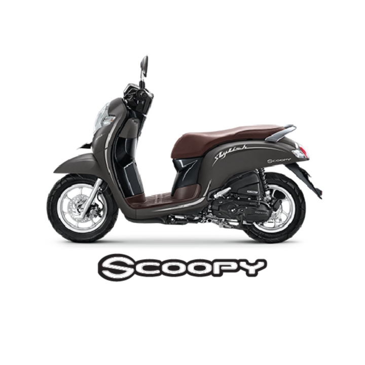 Scoopy Stylish