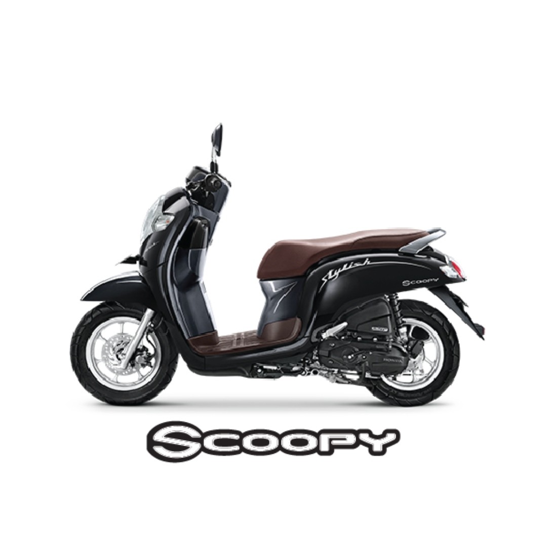 Scoopy Stylish 2