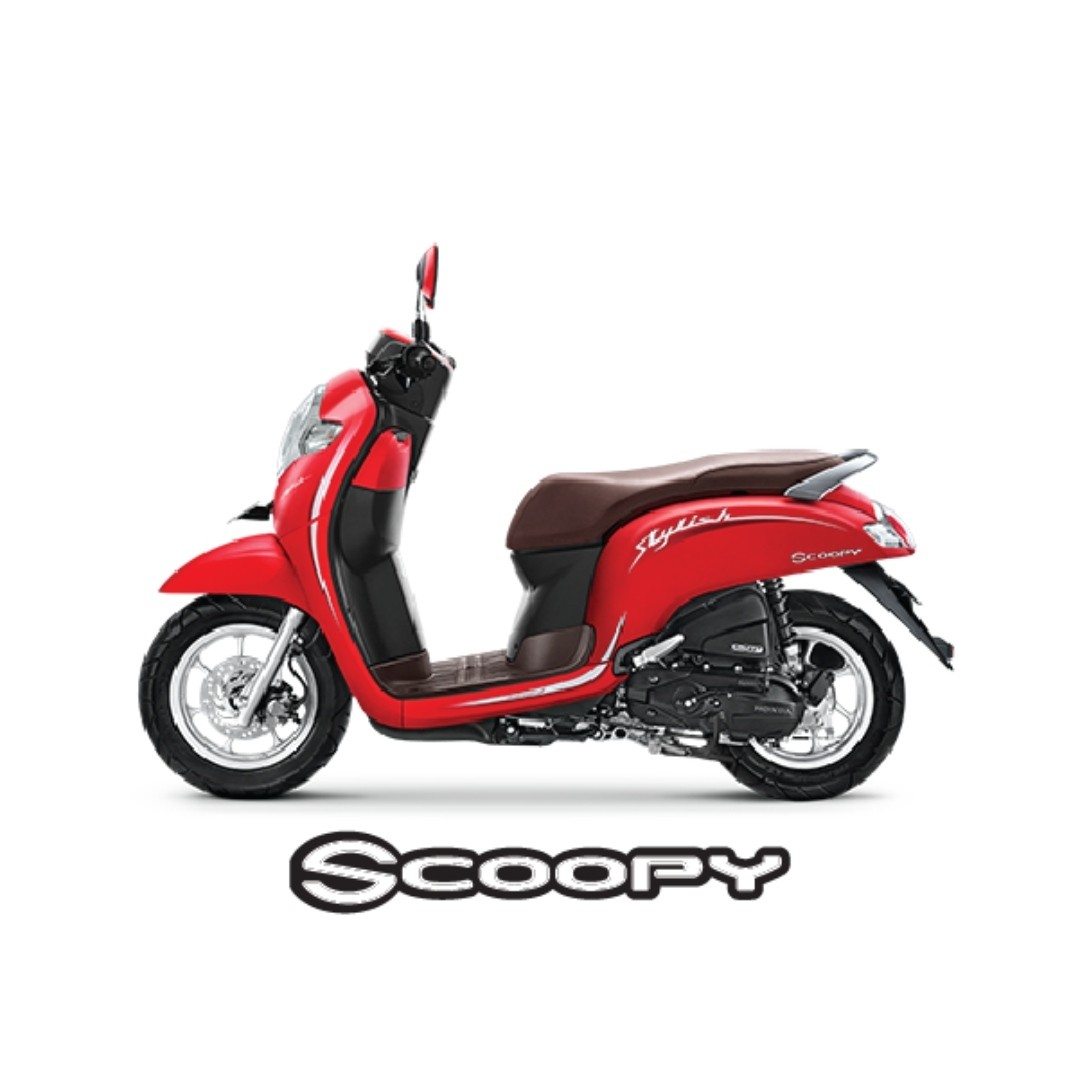 Scoopy Stylish 3
