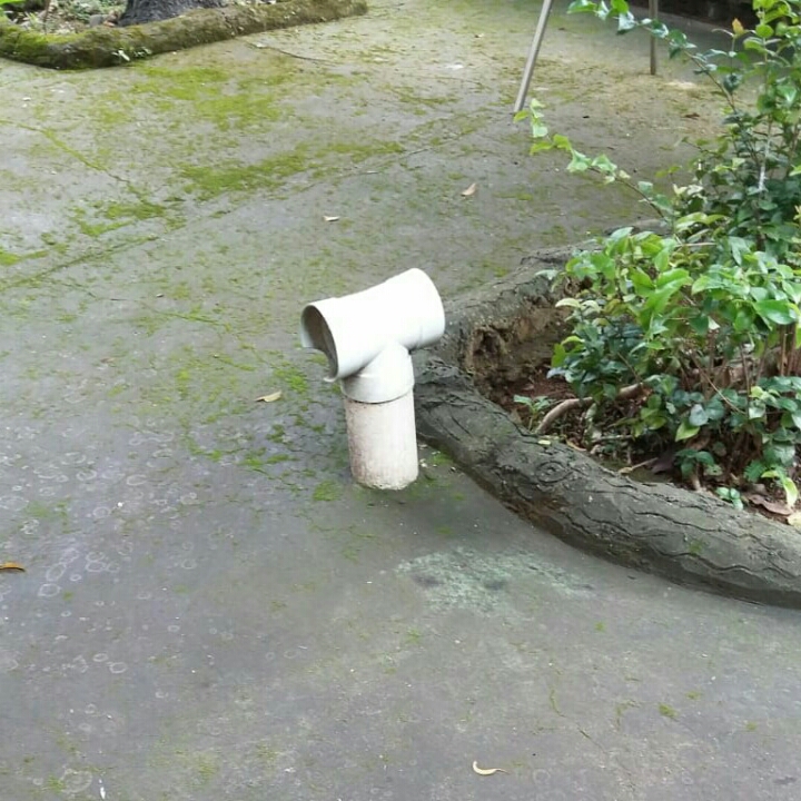 Sedot WC Langgeng Maju Bogor Klapanunggal 2