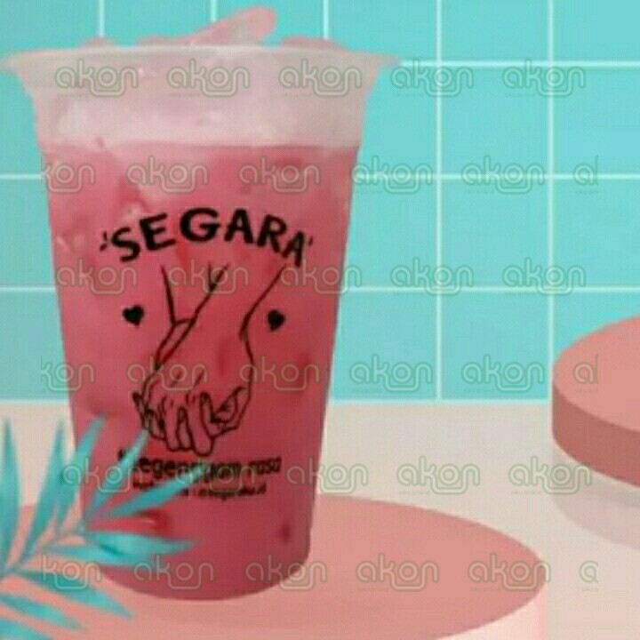 Segara Salut