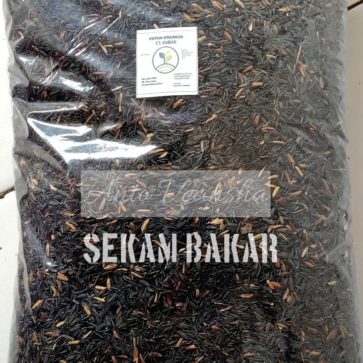 Sekam Bakar