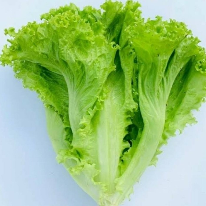 Selada
